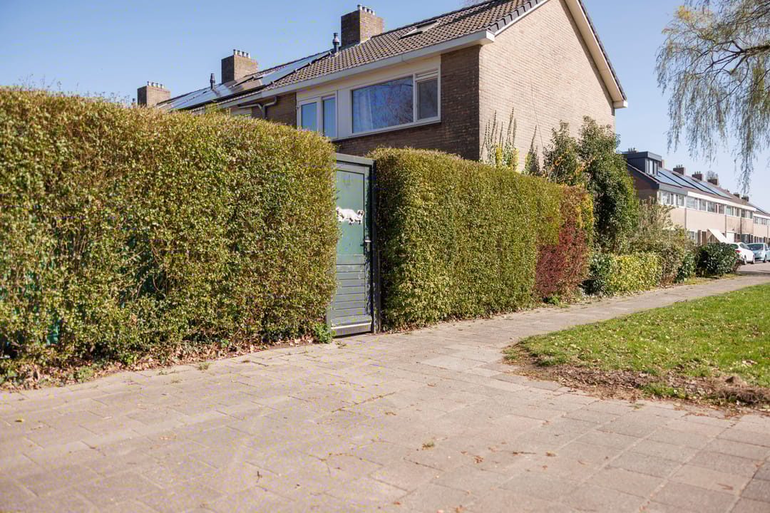 Photo 32 of Bloemkamp 1