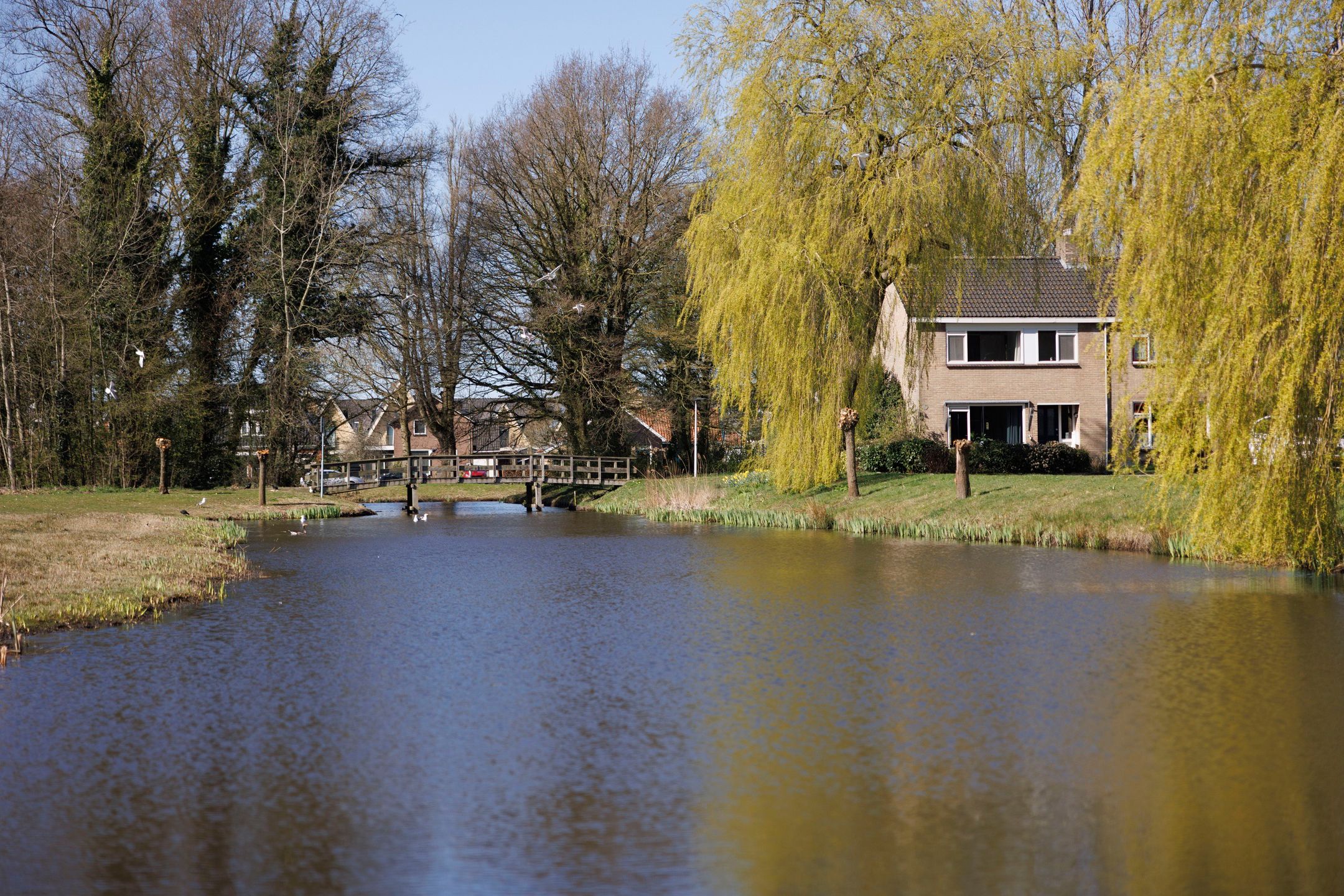 Photo 33 of Bloemkamp 1