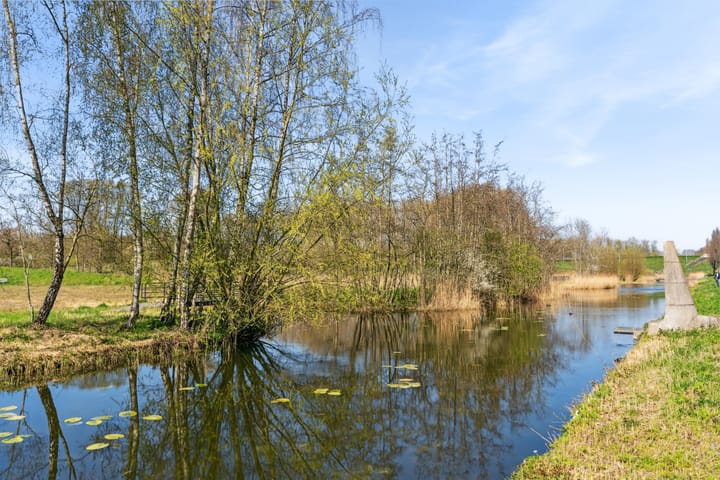 Foto 33 van Elzehout 20