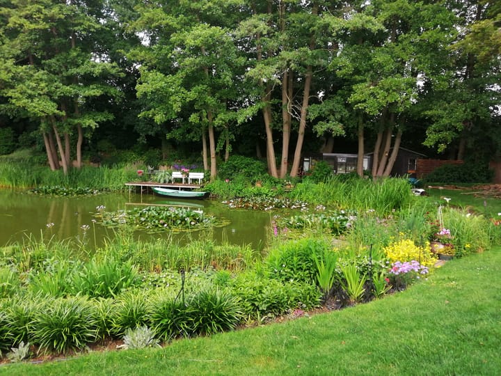 Foto 43 van Middelste Horst 29