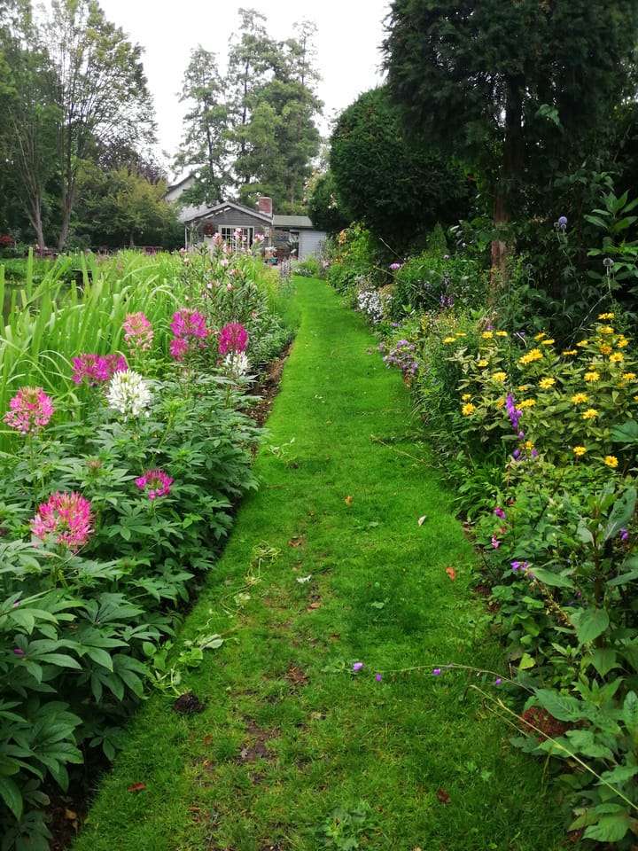 Foto 45 van Middelste Horst 29