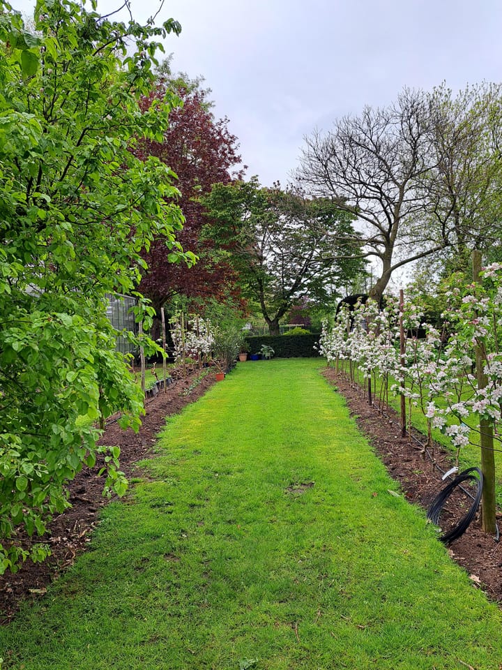 Foto 48 van Middelste Horst 29