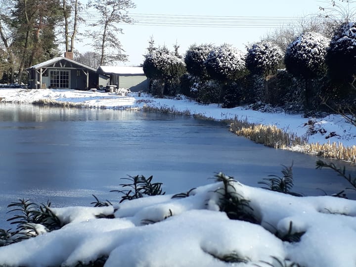 Foto 55 van Middelste Horst 29