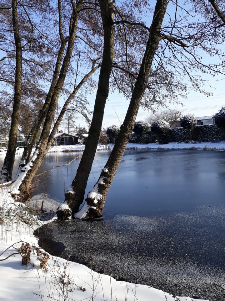 Foto 58 van Middelste Horst 29