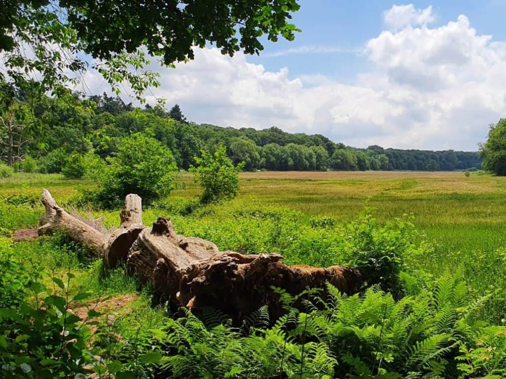 Foto 46 van Groeneweg 66