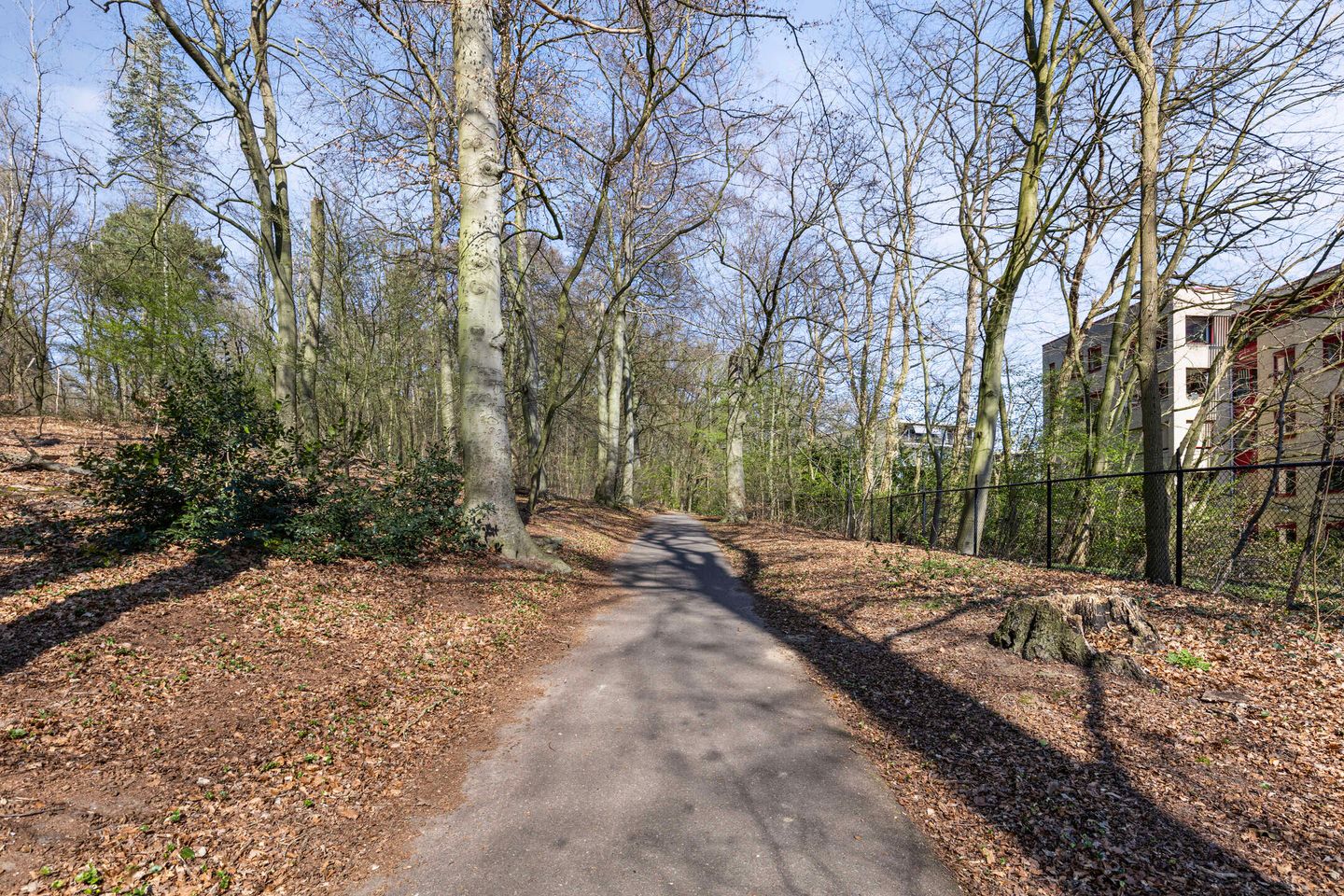 Foto 34 van St. Antonielaan 25