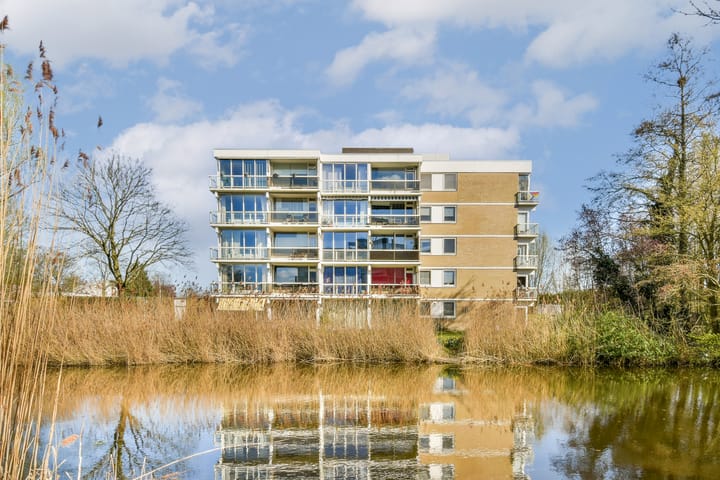 Foto 1 van Kruidenommegang 36