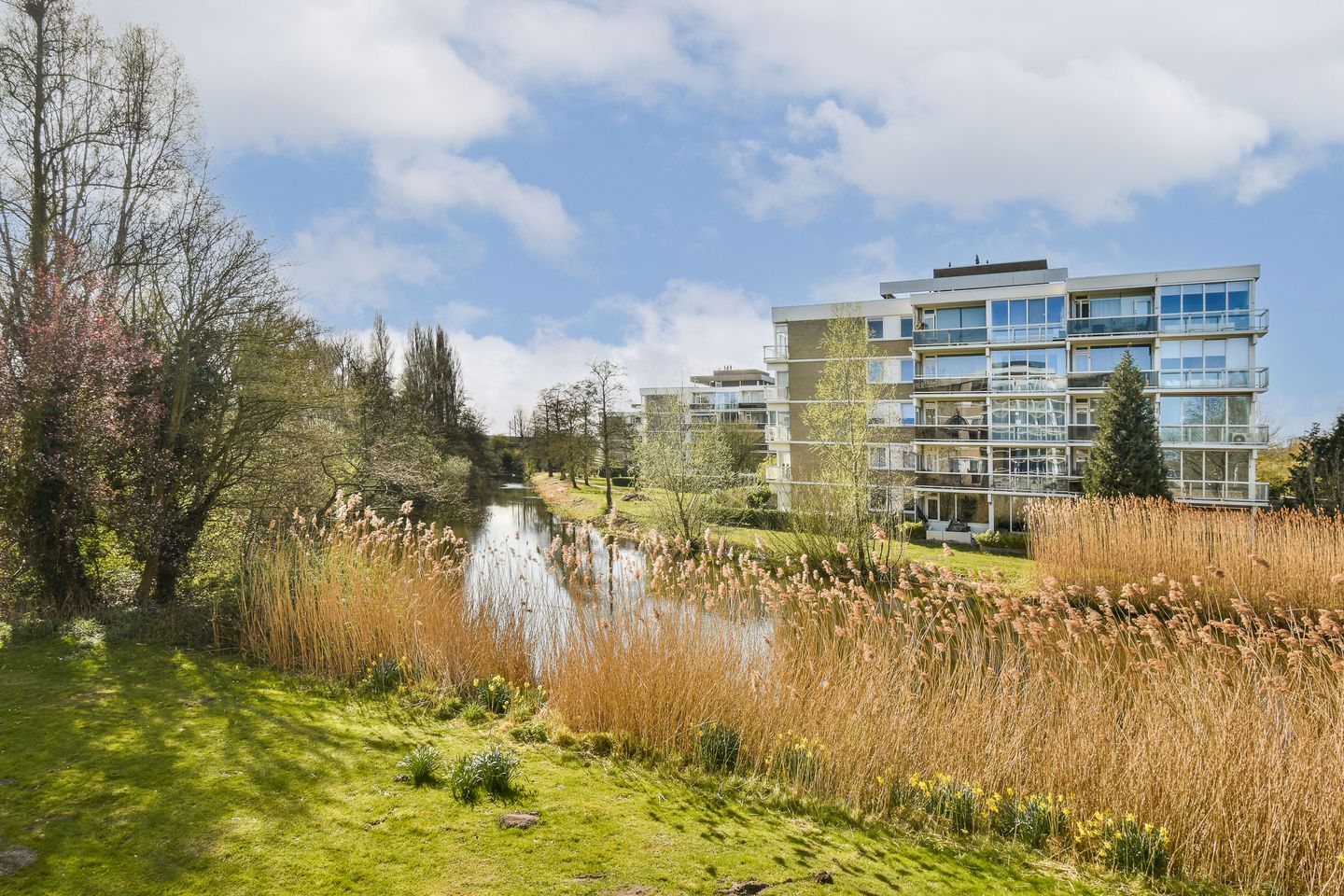 Foto 5 van Kruidenommegang 36