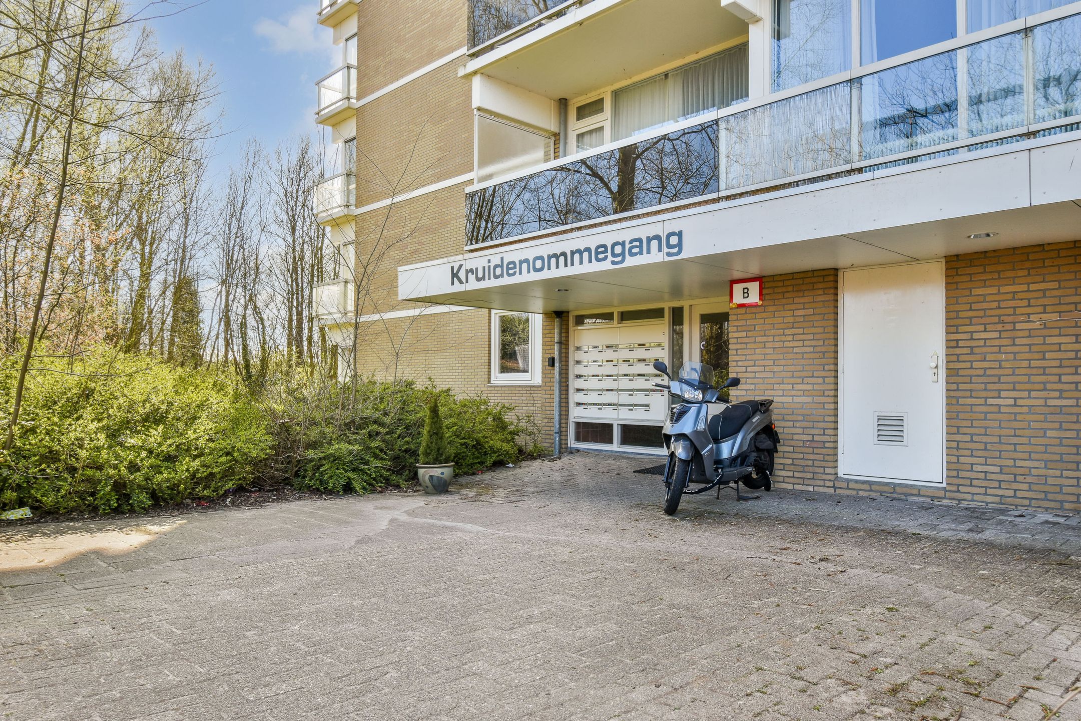 Foto 6 van Kruidenommegang 36