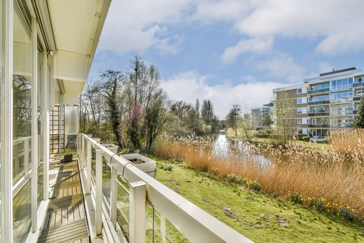 Foto 9 van Kruidenommegang 36