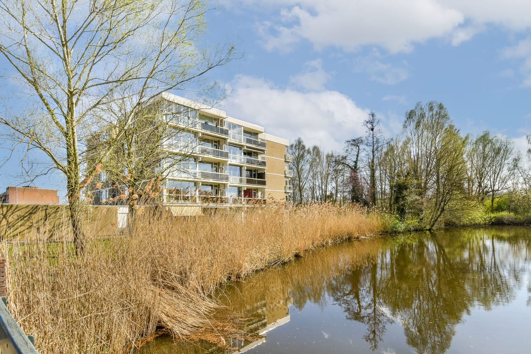 Foto 11 van Kruidenommegang 36