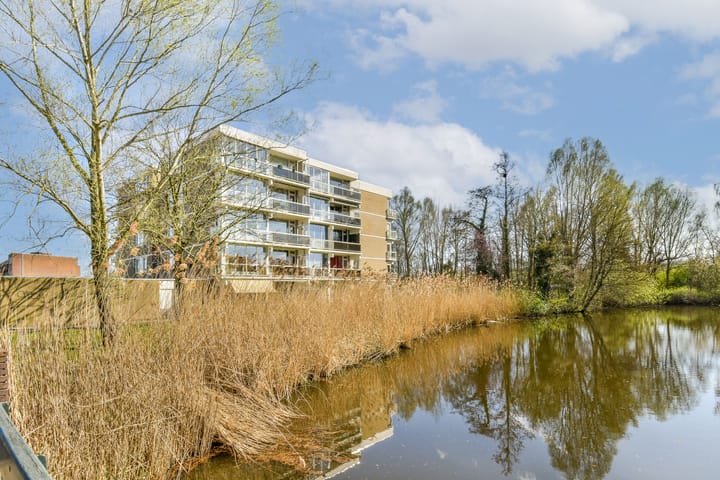 Foto 11 van Kruidenommegang 36