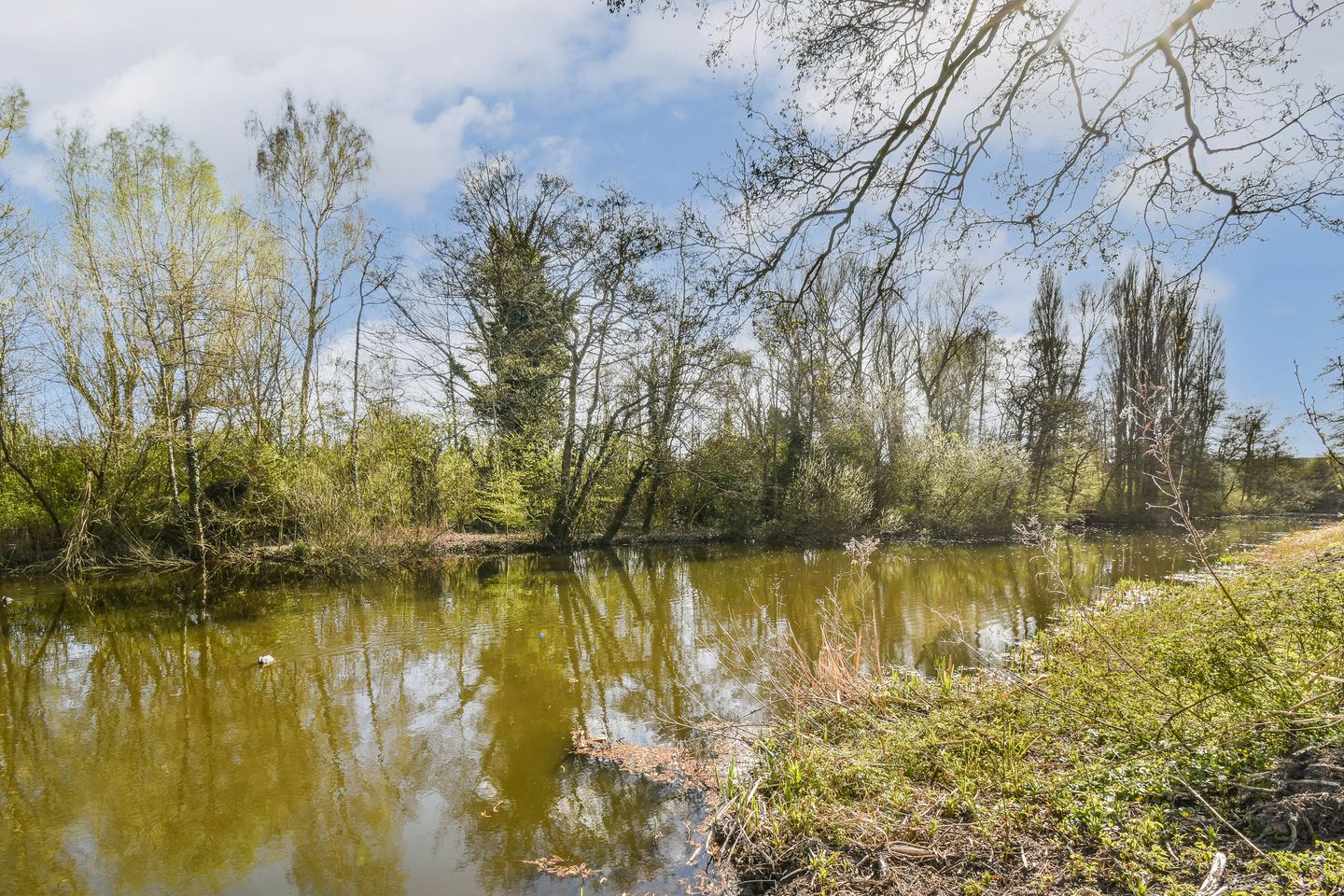 Foto 20 van Kruidenommegang 36