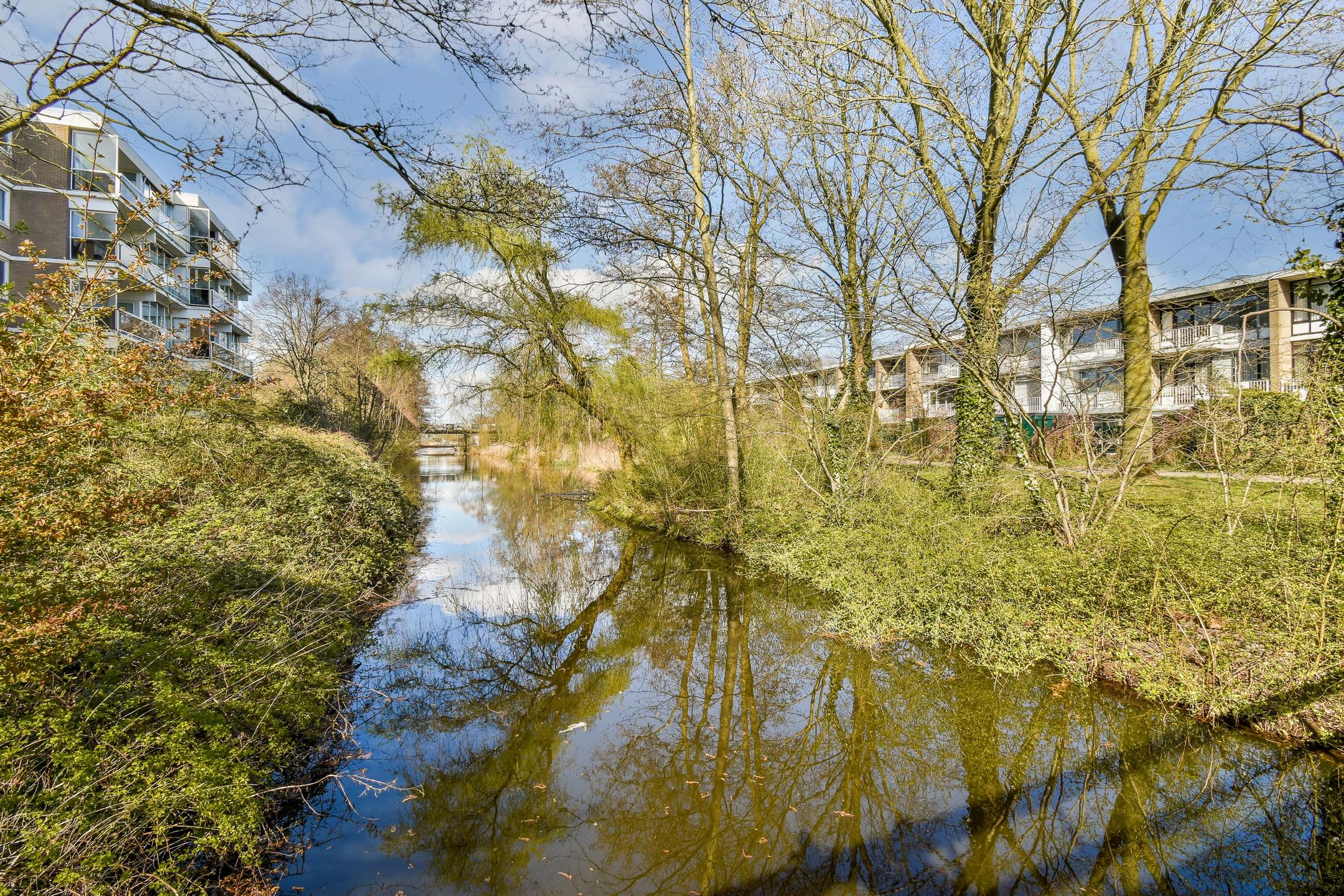 Foto 21 van Kruidenommegang 36