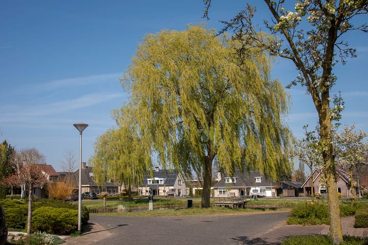 Foto 53 van Erve Oosterveld 9