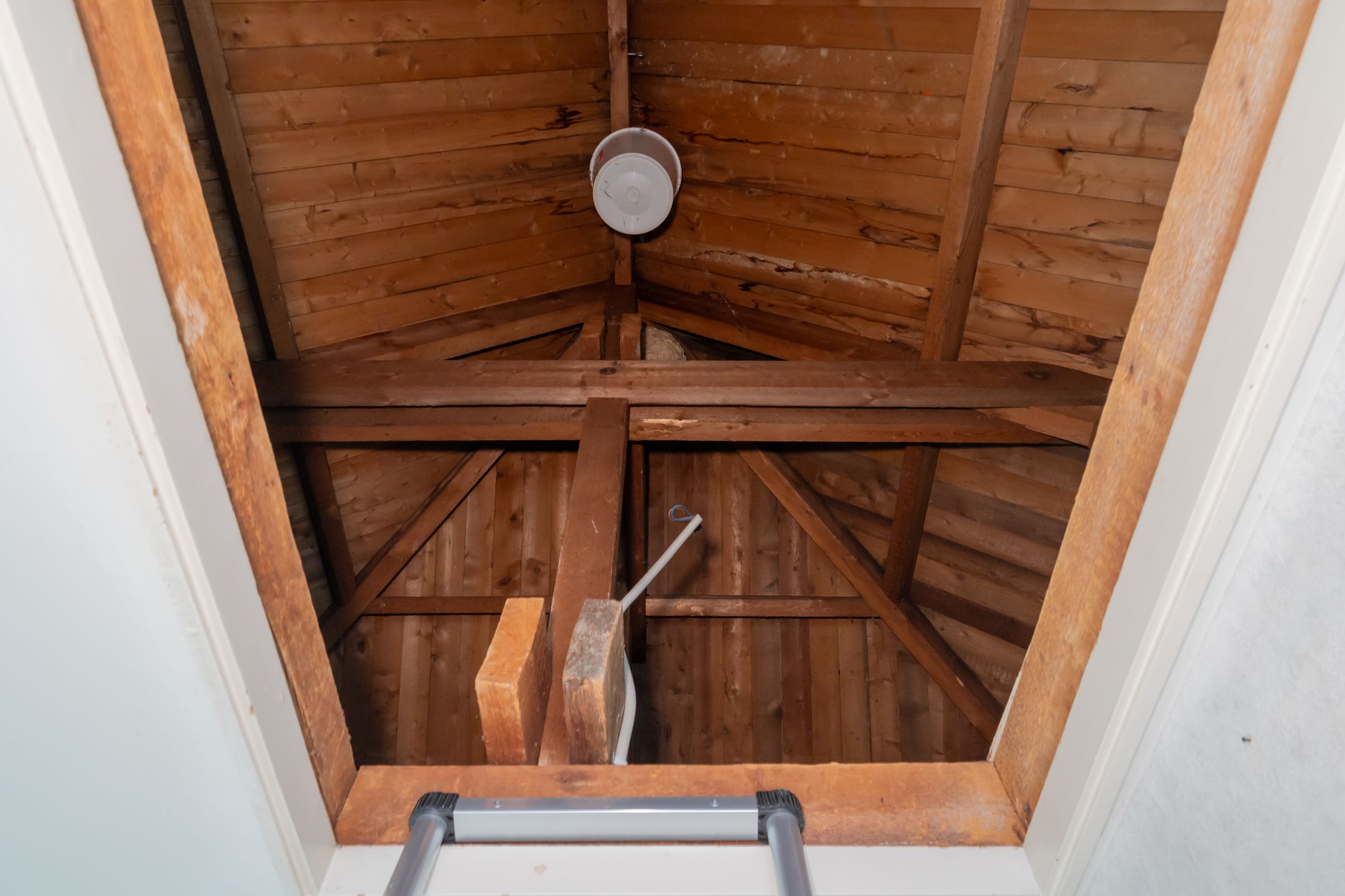 Foto 33 van Brederodelaan 3-A