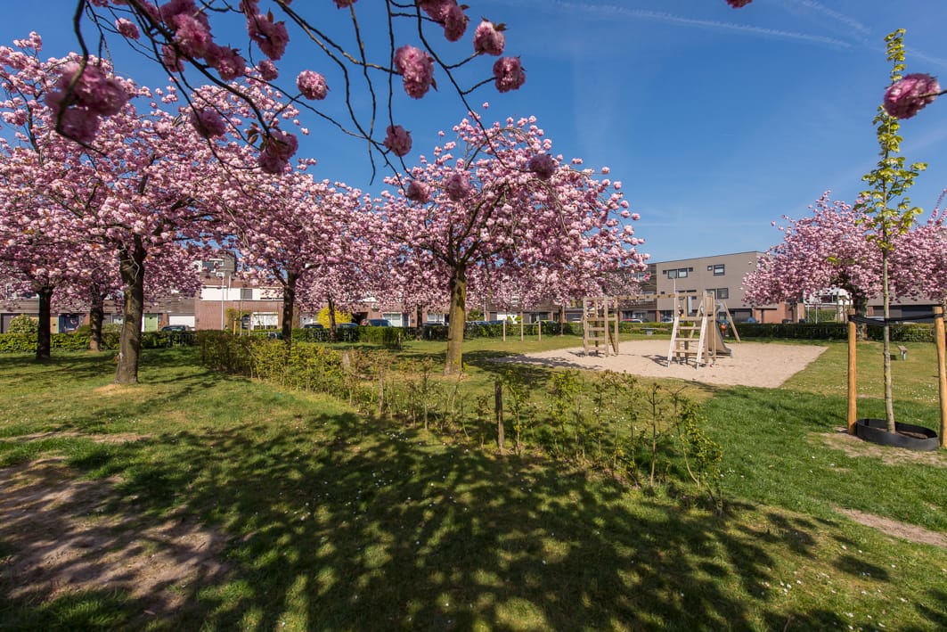 Photo 41 of Bijsterveldenlaan 146