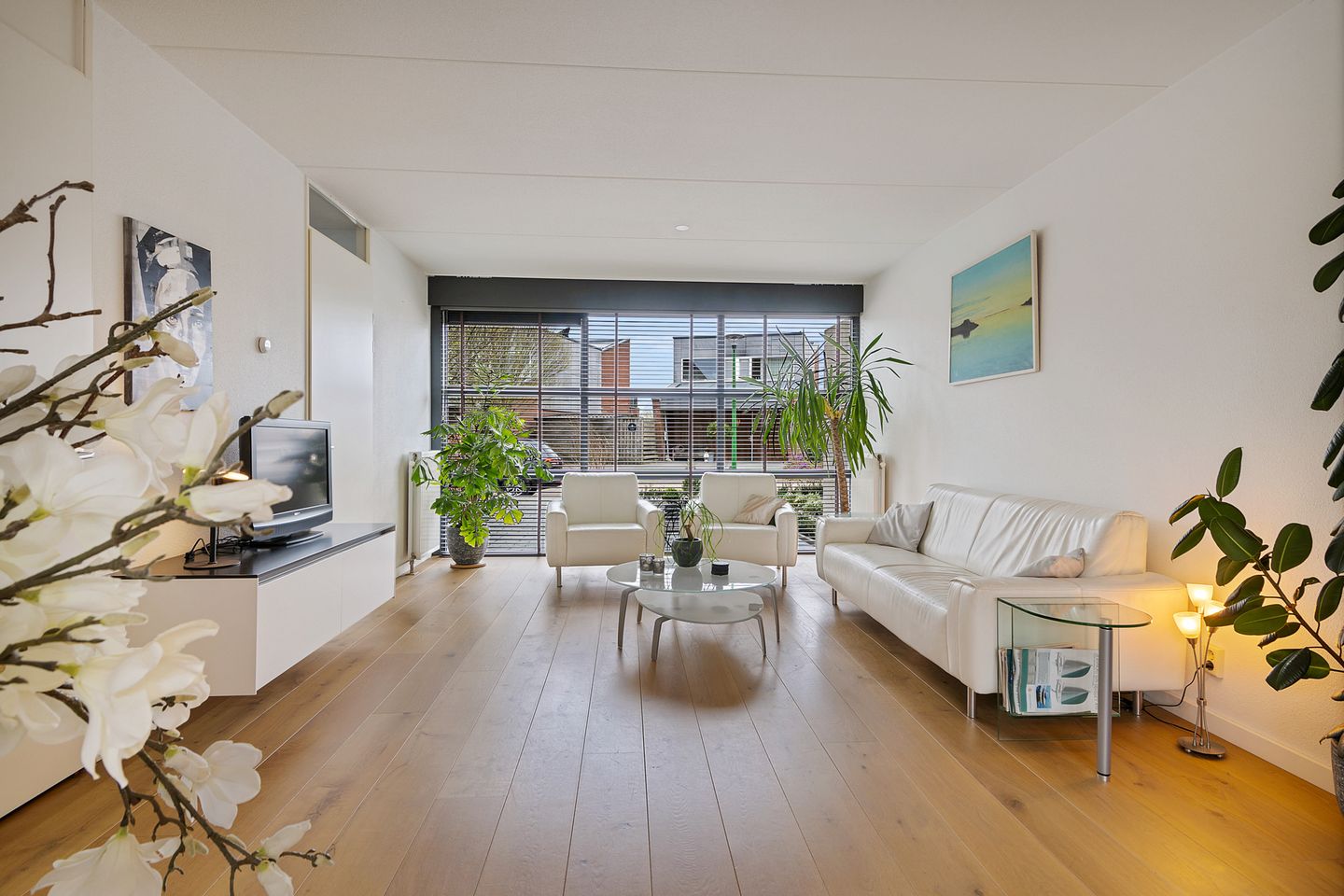 Foto 4 van Vuurvlinder 29