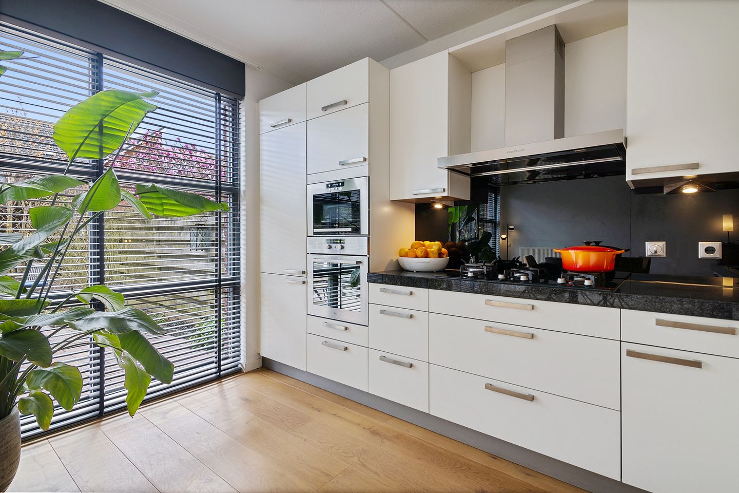 Foto 5 van Vuurvlinder 29