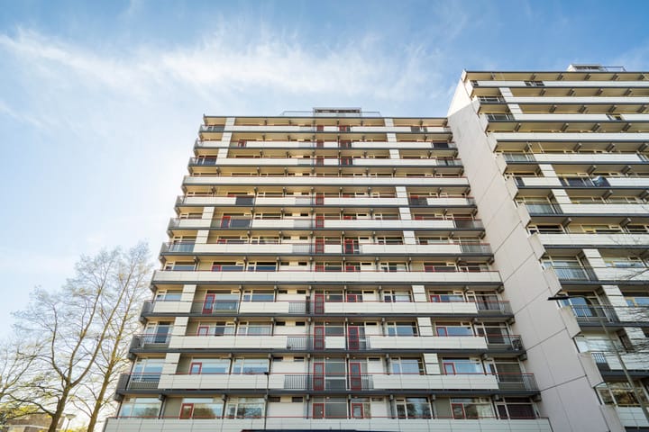 Foto 4 van Dotterlei 757