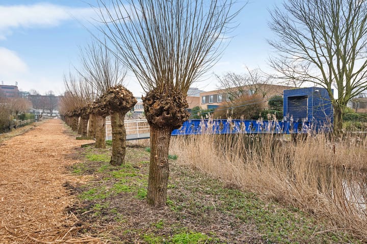 Foto 37 van Desselstraat 15