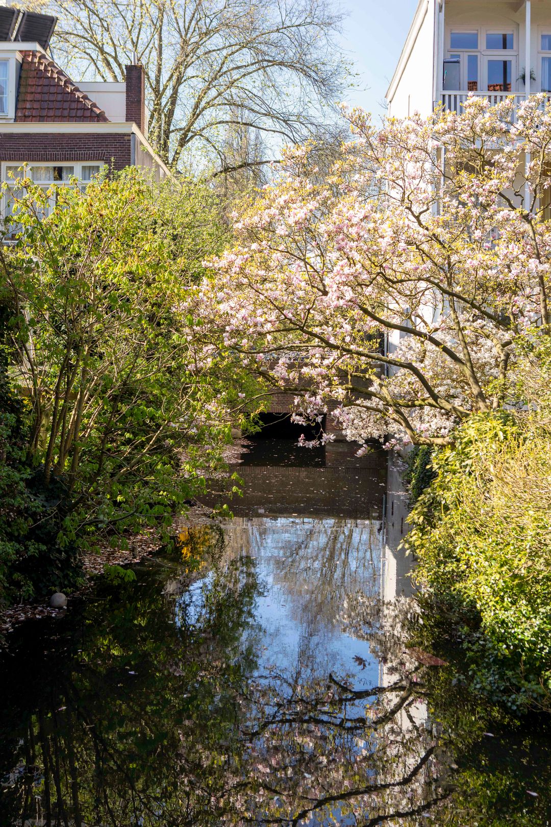 Foto 31 van Wethouder Frankeweg 3-3