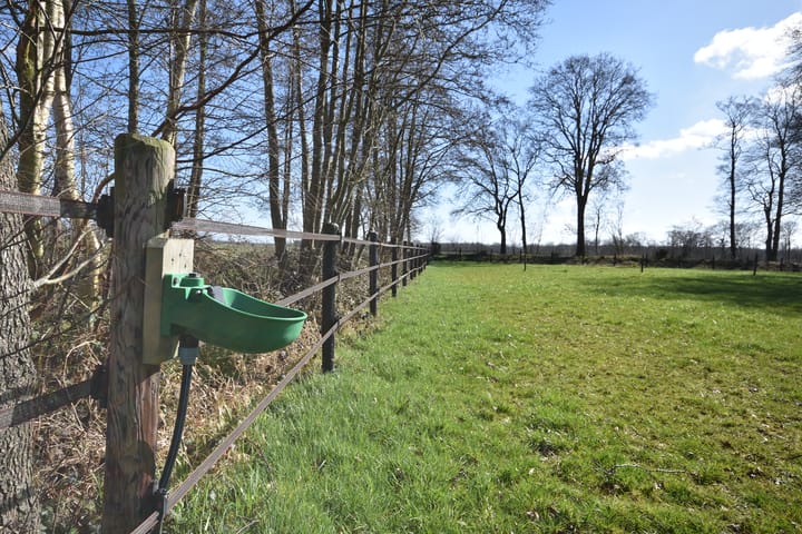 Foto 29 van Kûkhernewei 50