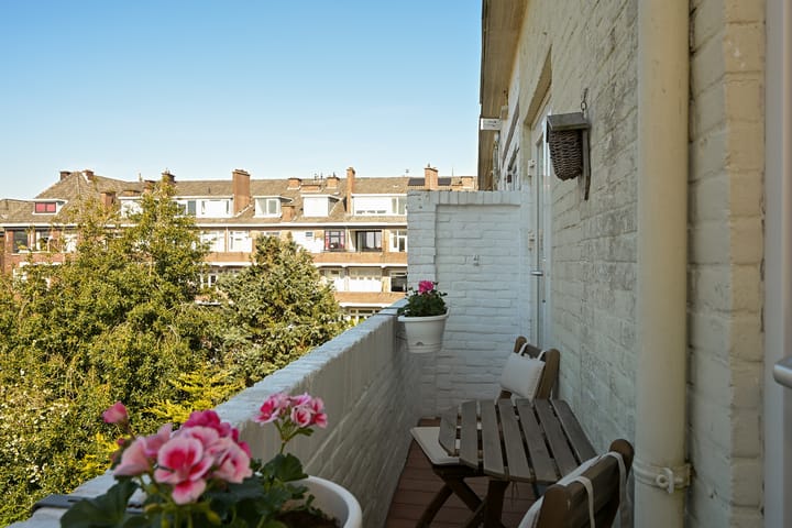 Foto 33 van Vlierboomstraat 301