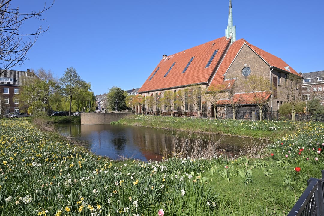 Foto 47 van Vlierboomstraat 301