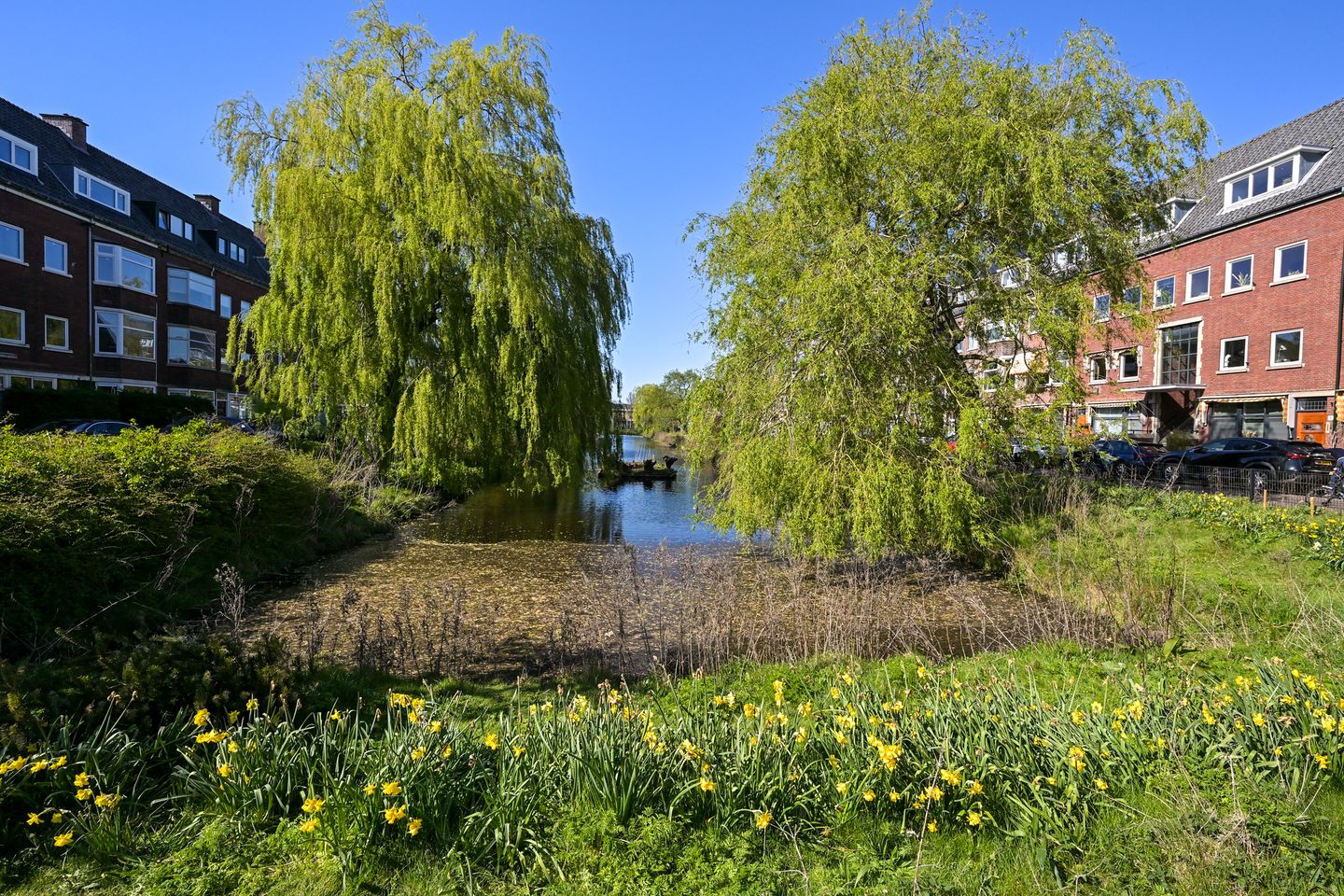 Foto 49 van Vlierboomstraat 301