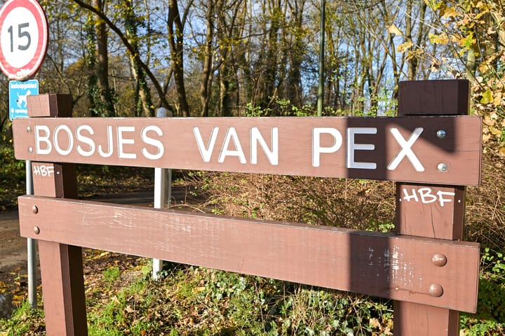 Foto 53 van Vlierboomstraat 301