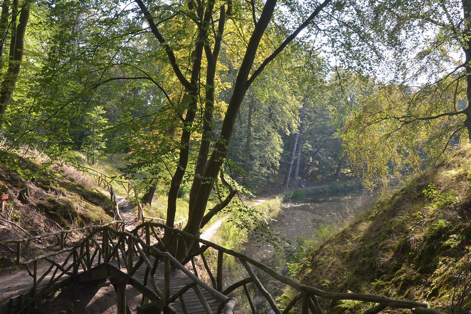 Foto 33 van Duindoornlaan 1