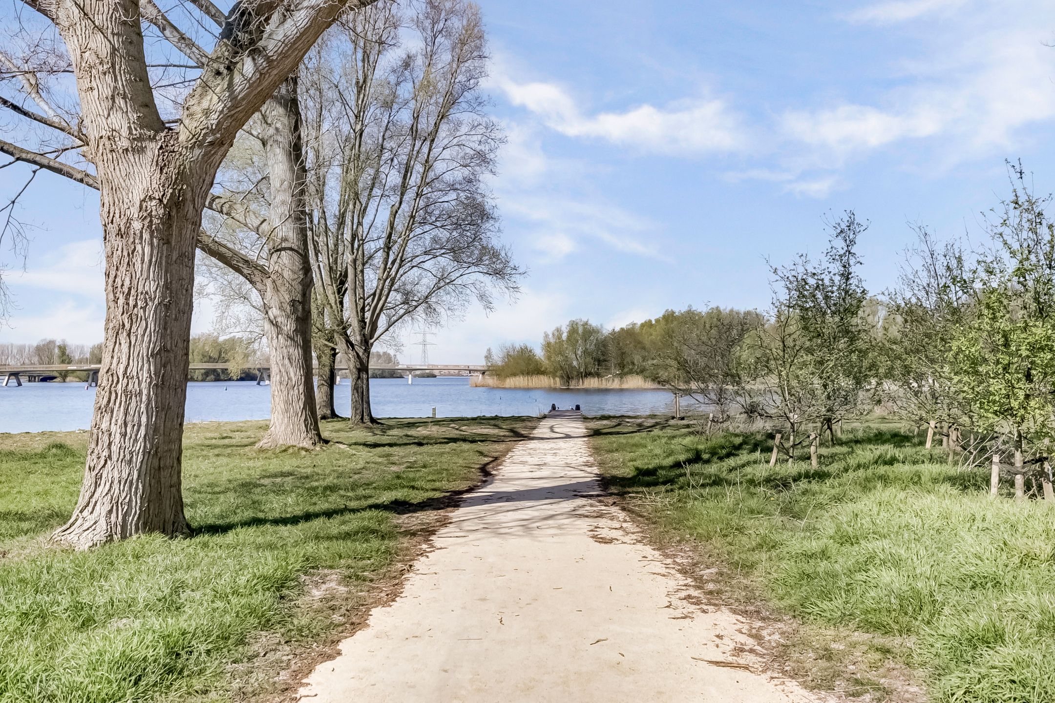 Foto 36 van Truffautstraat 18