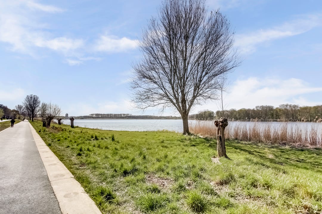 Foto 37 van Truffautstraat 18