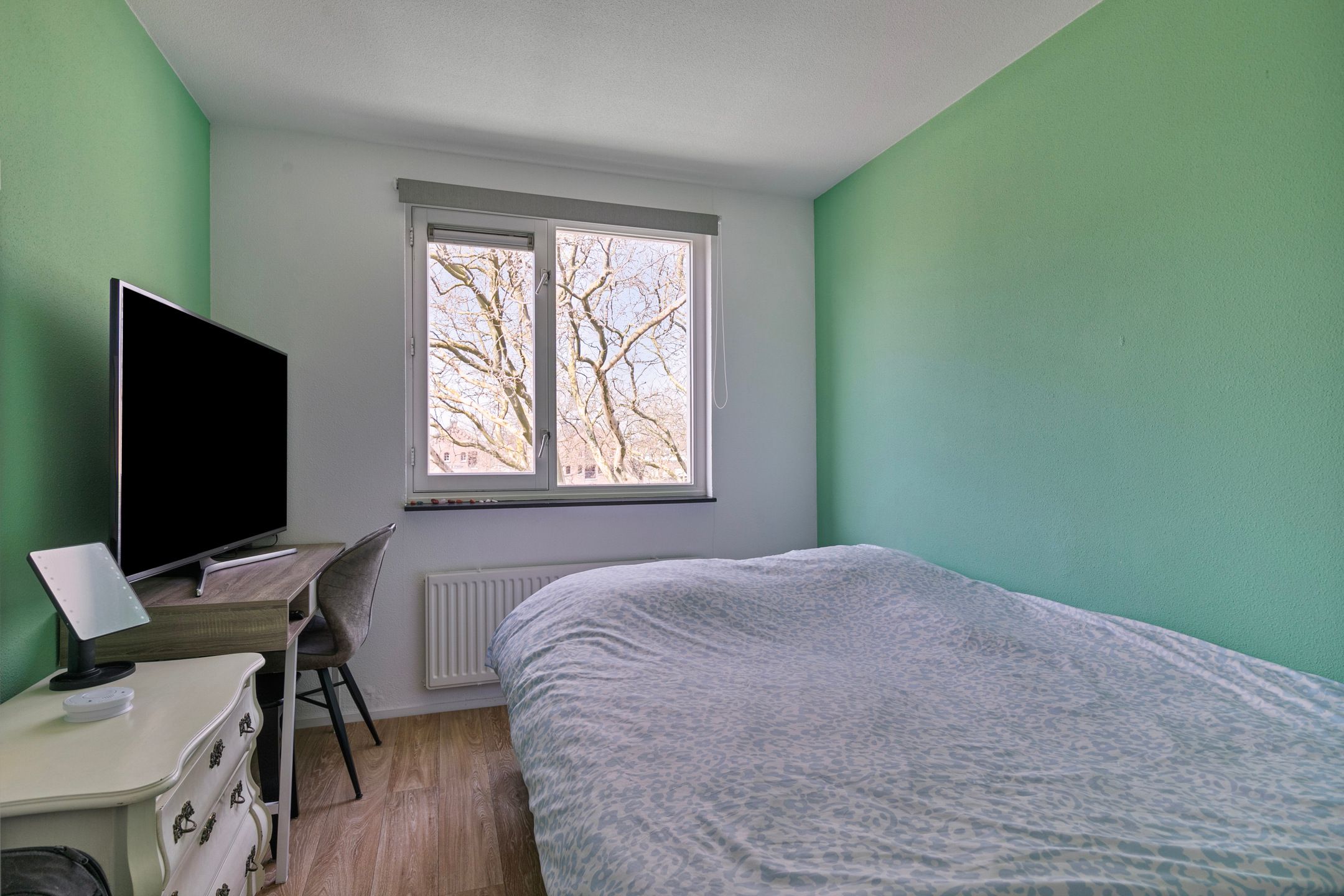 Foto 24 van Willemskade 173