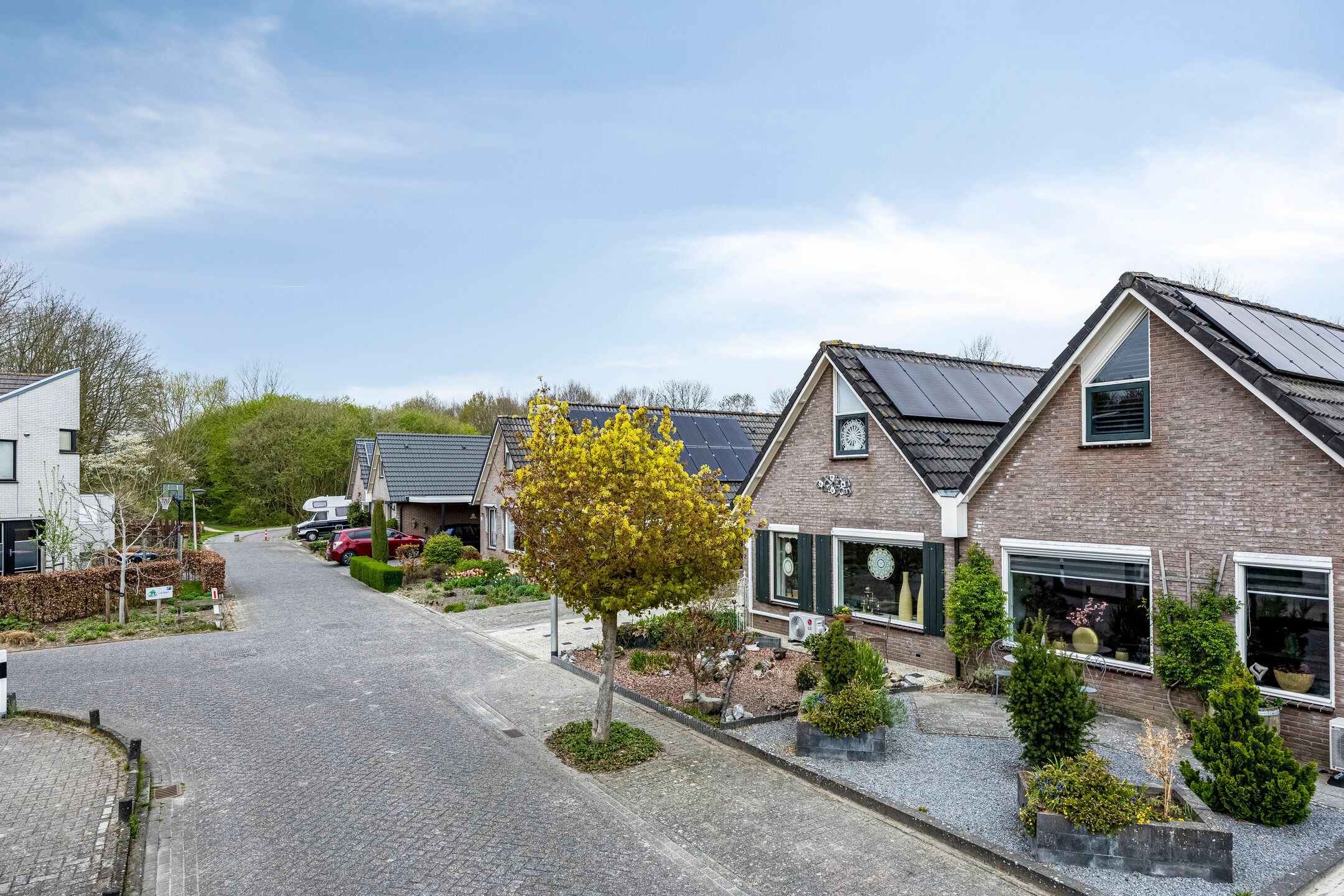 Foto 3 van De IJslander 20