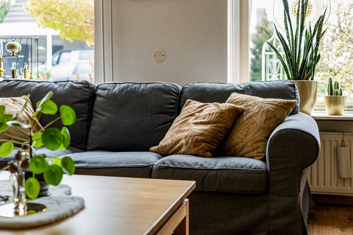 Foto 10 van De IJslander 20