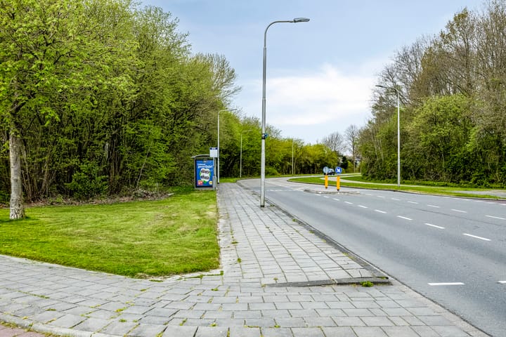 Foto 44 van De IJslander 20