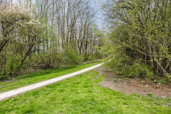 Foto 45 van De IJslander 20