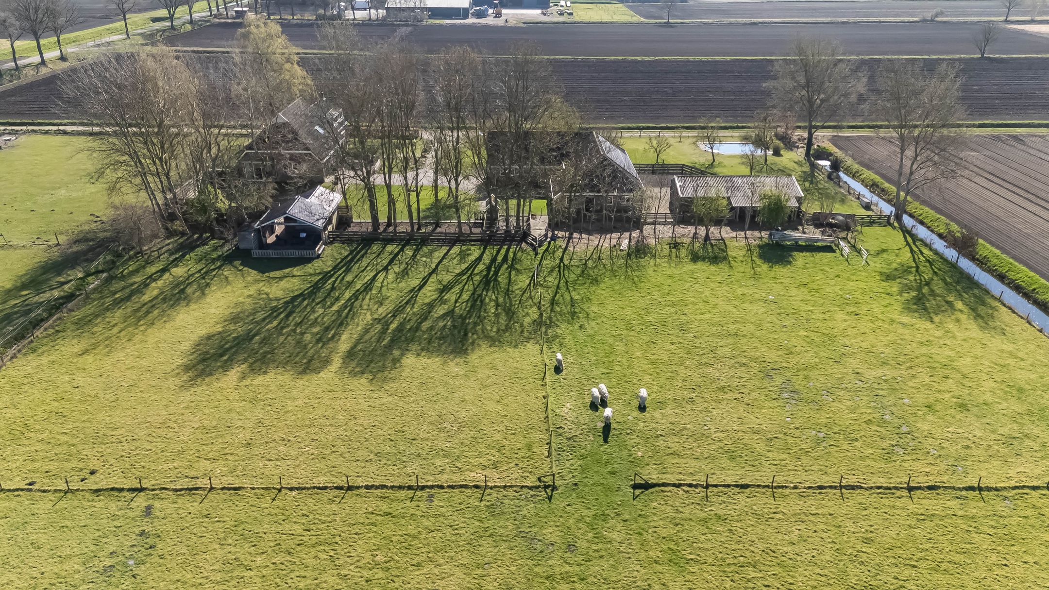 Foto 12 van Jonkerswijk 6