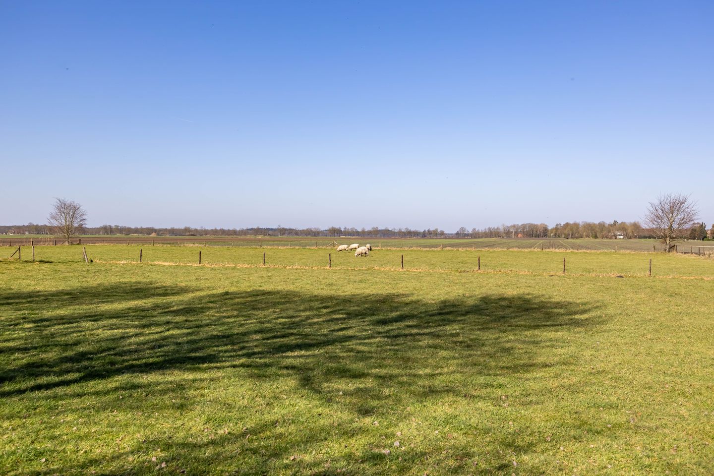 Foto 100 van Jonkerswijk 6