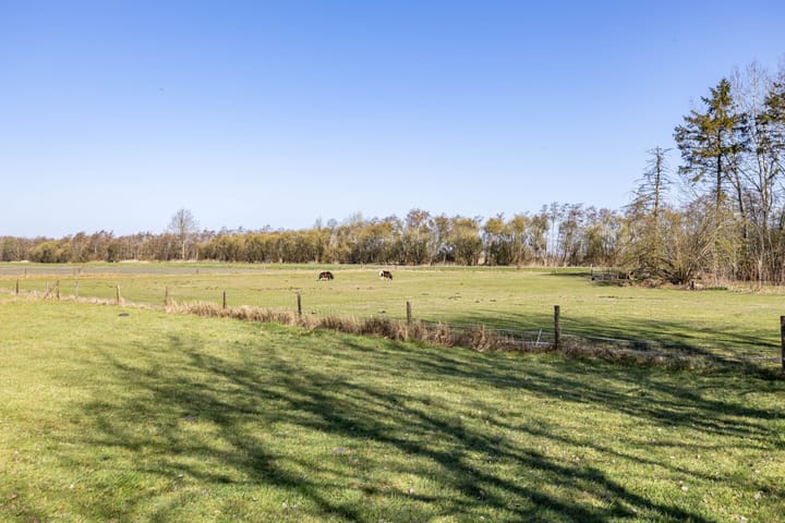 Foto 101 van Jonkerswijk 6