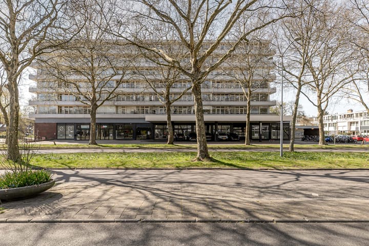 Foto 7 van Laan van Vollenhove 902