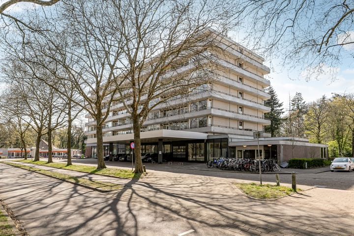 Foto 6 van Laan van Vollenhove 902