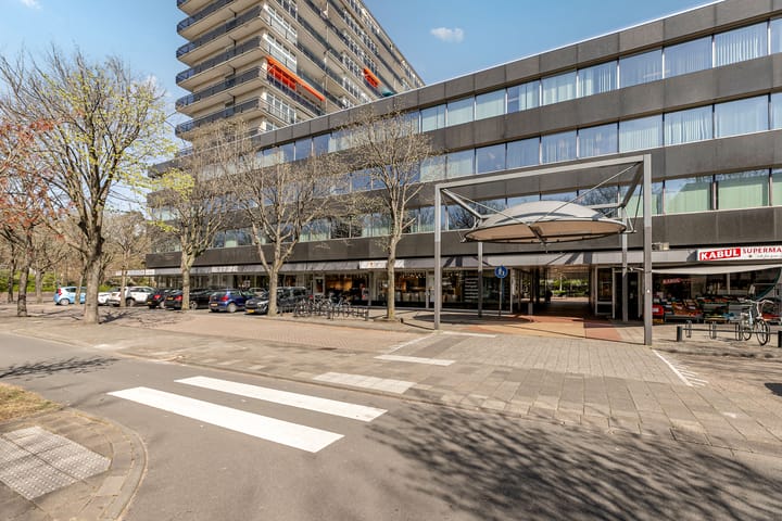 Foto 8 van Laan van Vollenhove 902