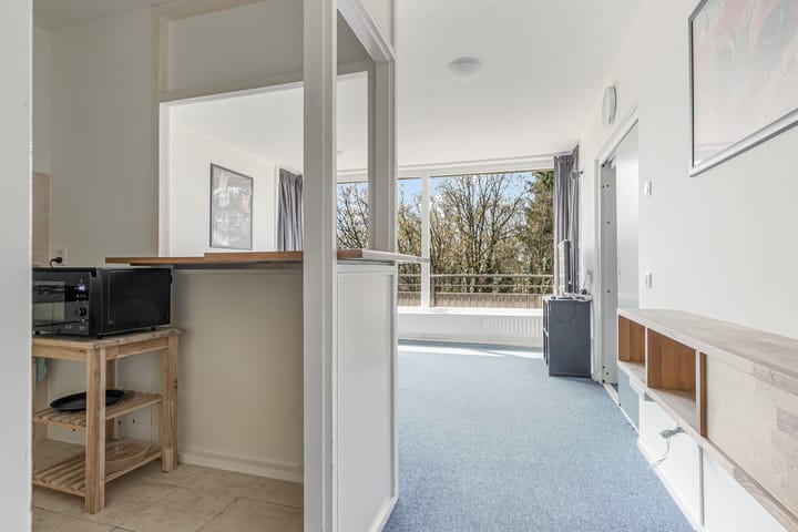 Foto 13 van Laan van Vollenhove 902