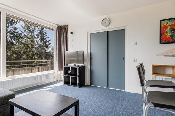 Foto 24 van Laan van Vollenhove 902