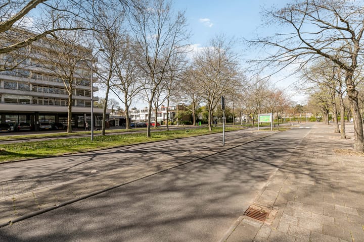 Foto 38 van Laan van Vollenhove 902