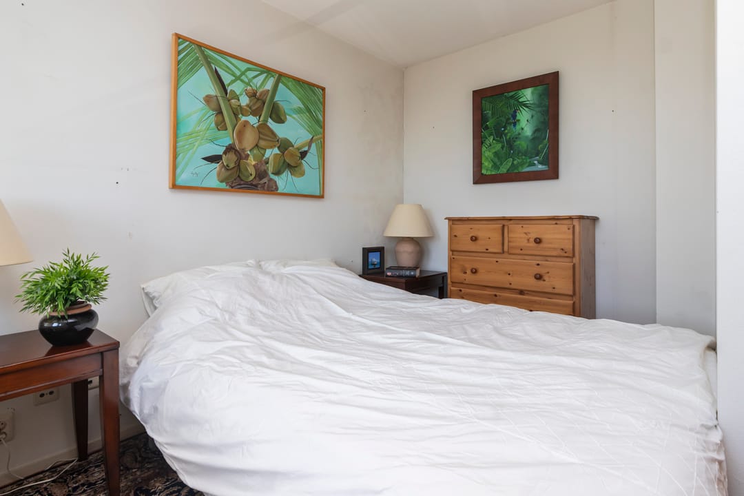 Foto 16 van Prinsegracht 225