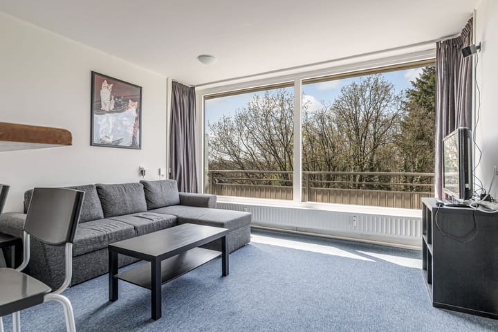 Foto 2 van Laan van Vollenhove 902